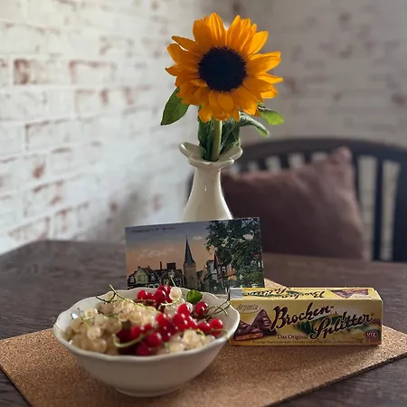 Harztraeume I Gratis Parken I Sitzplatz Im Gruenen I Busanbindung Apartment *