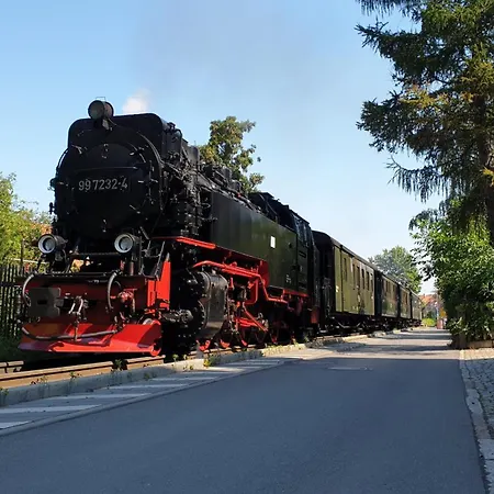 Apartment Harztraeume I Gratis Parken I Sitzplatz Im Gruenen I Busanbindung Wernigerode