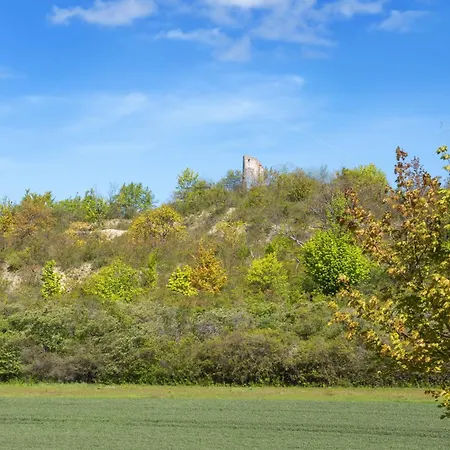 Harztraeume I Gratis Parken I Sitzplatz Im Gruenen I Busanbindung