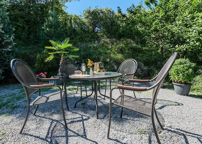 דירה Harztraeume I Gratis Parken I Sitzplatz Im Gruenen I Busanbindung *