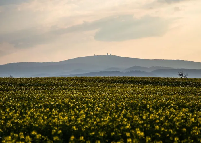 Harztraeume I Gratis Parken I Sitzplatz Im Gruenen I Busanbindung Wernigerode